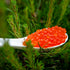 Salmon Trout Caviar, 5+1 x 400g