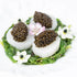 CAVIAR DUO SET, 2 x 100g