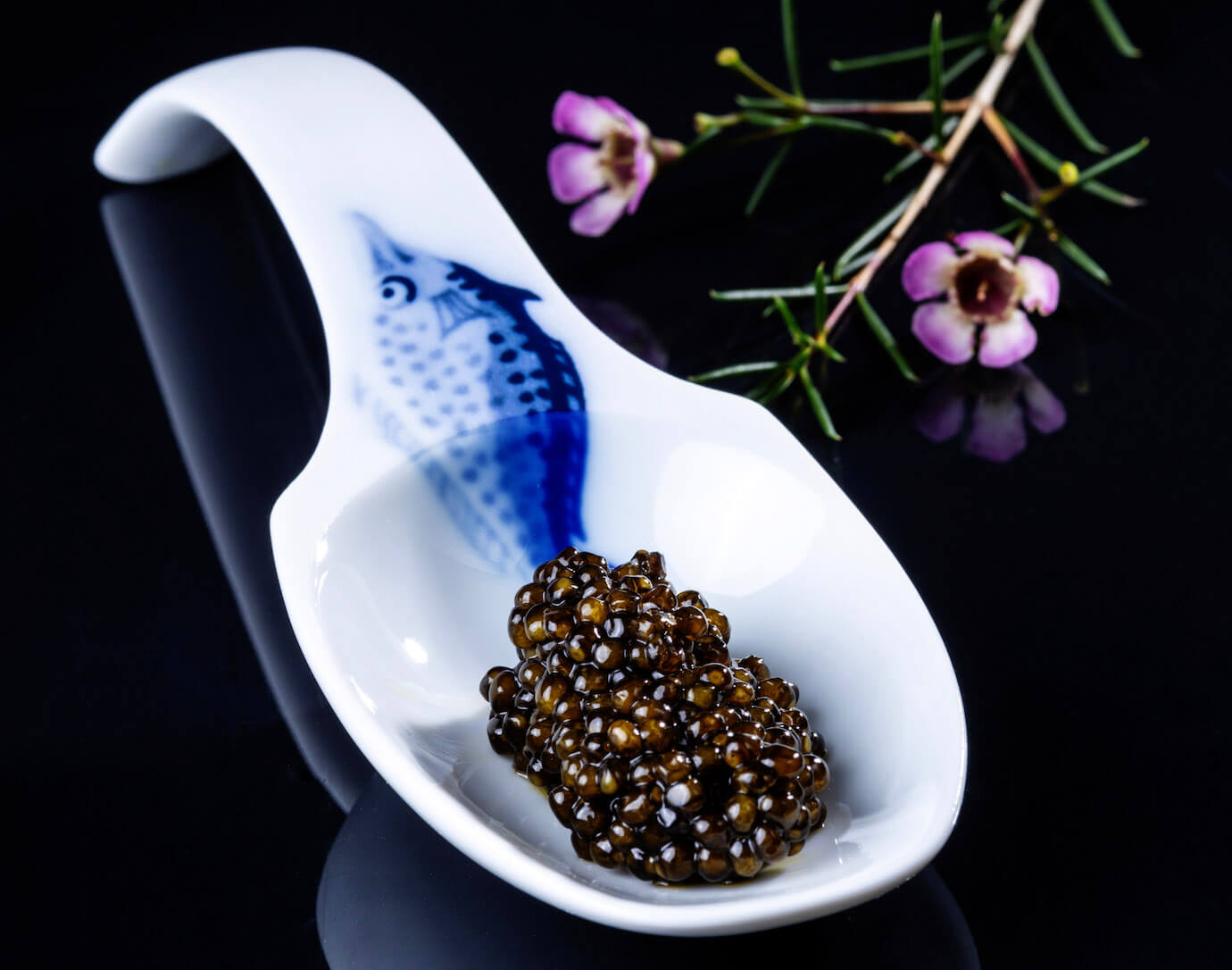 Osietra Caviar